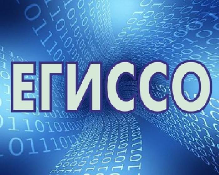 ЕГИССО: узнай какие социальные выплаты положены. Социальный калькулятор смотреть онлайн