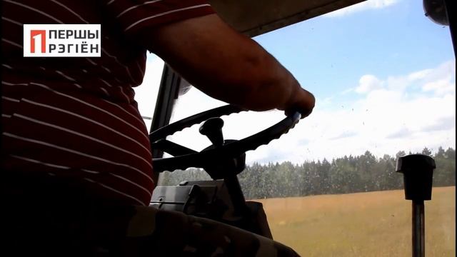 Аисты любят ходить за комбайнами. Уборка кормов, Ганцевичский район смотреть онлайн