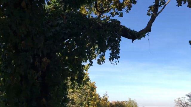 Цените тех, с кем маска ни к чему... Цените тех, кто с вами... смотреть онлайн