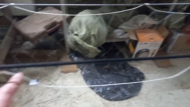 Посадка сетей. Как посадить сеть. смотреть онлайн