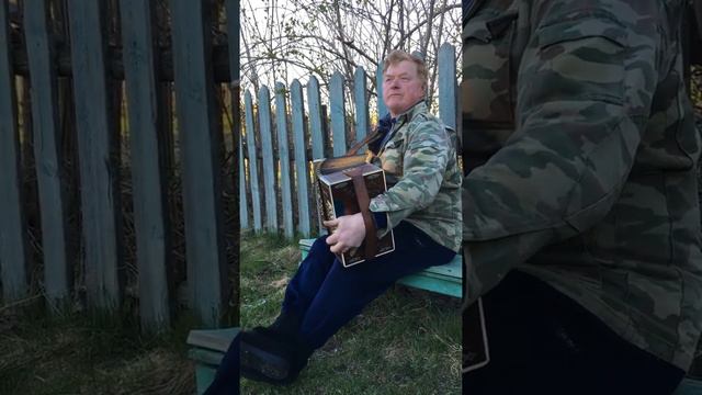 Гармонист смотреть онлайн