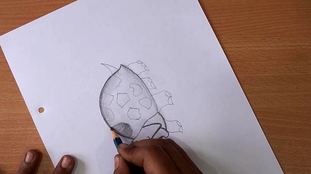 How To Draw A Turtle || Pencil Art || Pencil Sketch || Pencil Drawing смотреть онлайн