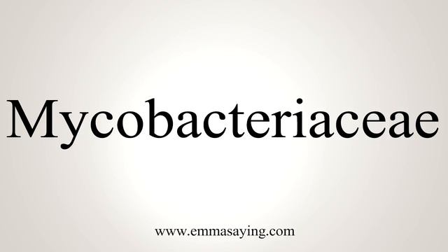 How To Say Mycobacteriaceae смотреть онлайн