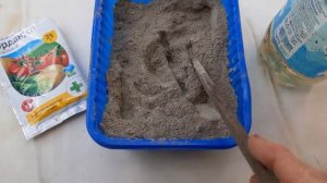 Заделываем дупло  яблони
