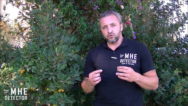METAL DETECTOR : PULSE O VLF?? QUALE SCEGLIERE? COME INIZIARE? смотреть онлайн