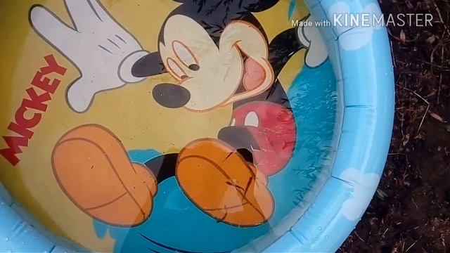 Тусим в деревне!👍👌Где живет Даша?!Цвет настроения -деревня !!!😊😂 смотреть онлайн