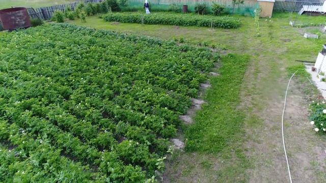 Задворка смотреть онлайн