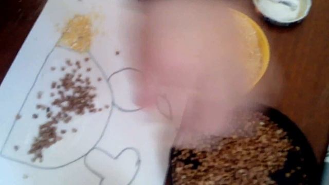 Аппликация из круп/Поделка из крупы/Поделка для детей из круп/Творчество с детьми смотреть онлайн