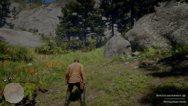 Red Dead Redemption 2 медведь смотреть онлайн