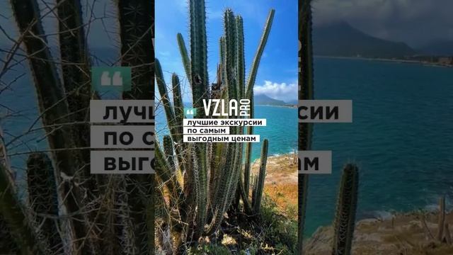 Друзья, принимаем поздравления! Нам годик :) #shorts смотреть онлайн