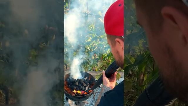 Лайфхак для дачи - Шашлык за 15 минут #shorts смотреть онлайн