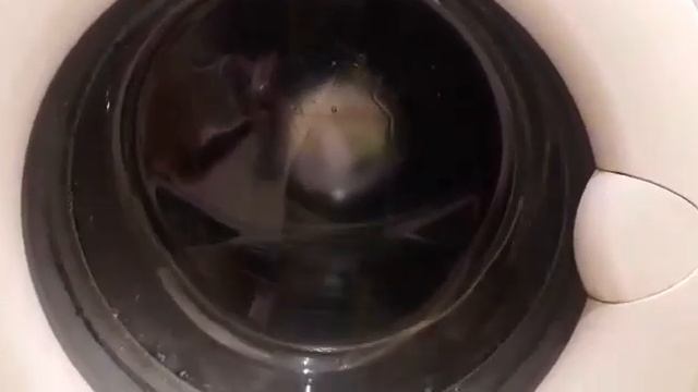 Ардо a1000x небольшие дисбалансированные 1000об./Ardo a1000x not big unbalanced 1000rpm смотреть онлайн