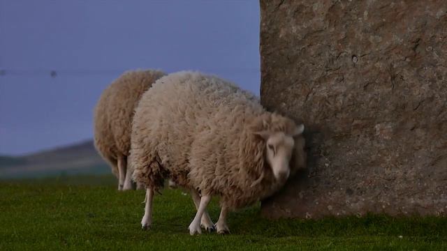 Стихи Доктора Влада читает Елена Пичугина, часть 12 — Что в них проку, листки бумаги смотреть онлайн
