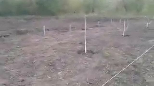 Планировка участка смотреть онлайн