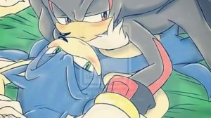 Sonic x Shadow