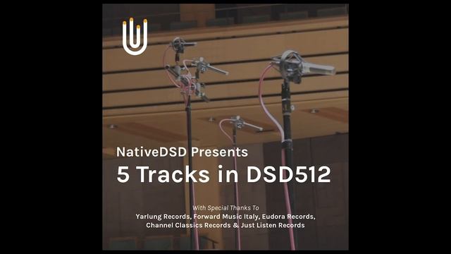 NativeDSD Launches DSD 512 on Astell & Kern's flagship A&ultima SP2000, Katie Springer смотреть онлайн