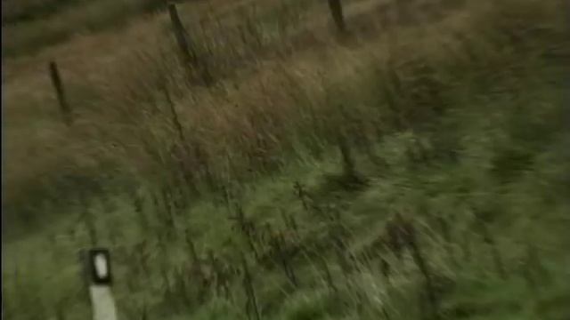 2001 Alfa Romeo 166 Review - With Richard Hammond смотреть онлайн