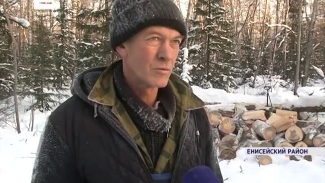 В преддверии Нового года в крае началась охота на "черных лесорубов" смотреть онлайн