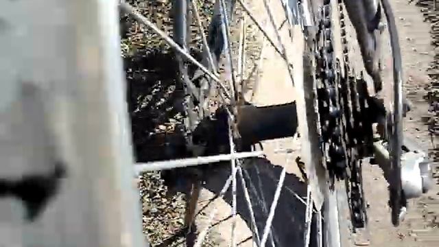 Богомол атакует фотоаппарат смотреть онлайн