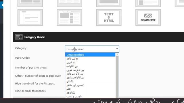 How to Make Urdu news website|Sahifa theme customization in Urdu PART 1 смотреть онлайн