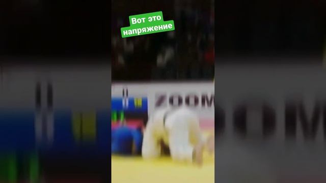 вот это напряжение. #judo #борьба #дзюдо #бросок #иппон #martialart #sport #mma #победа #judoka смотреть онлайн