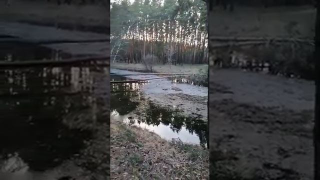 Красивые места Куртамыша. смотреть онлайн