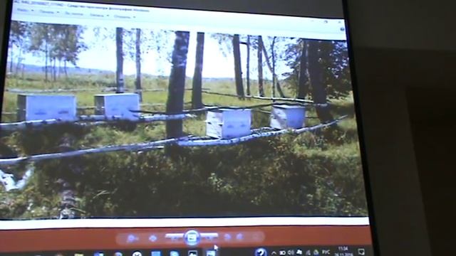 Пасека на ульях лежаках Лазутина - Конференция Пчеловодство в Русских ульях. смотреть онлайн