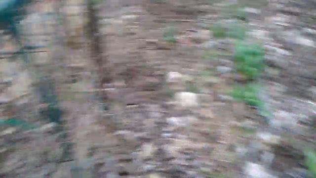 Нарциссы и гиацинты смотреть онлайн