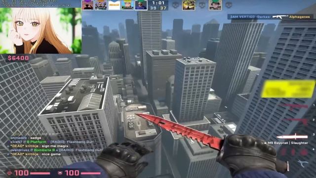 КОГДА ПРО ИГРОКИ РАЗБИВАЮТСЯ смотреть онлайн