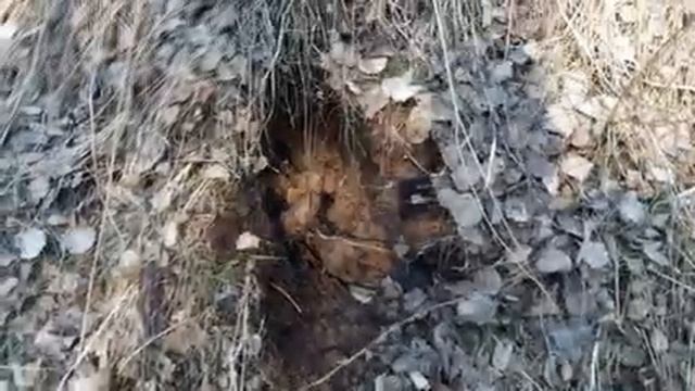 Допиливаем и дорезаем железки. Коп Металлолома!! смотреть онлайн