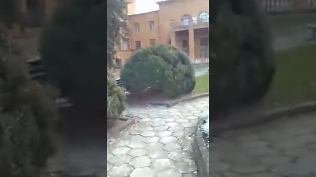 Санаторий москва смотреть онлайн