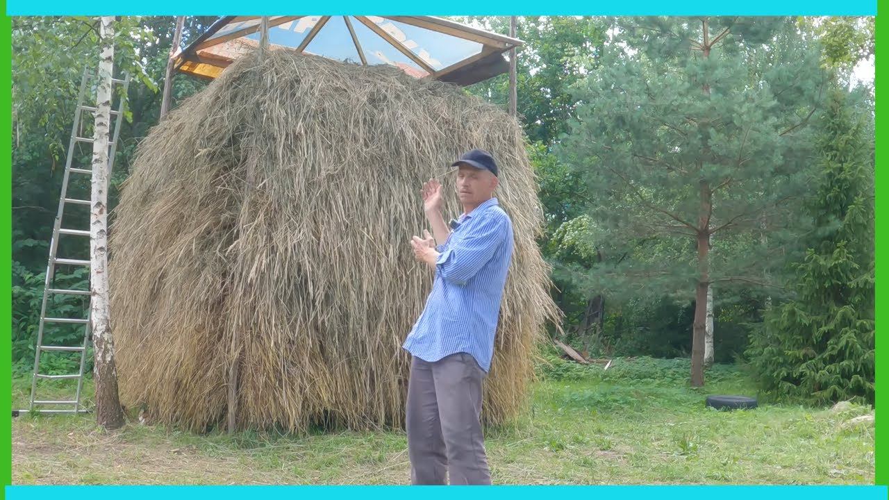 Брус для сарая - коровника прибыл, кормовая свекла удивила, индюки и деревенские будни! смотреть онлайн