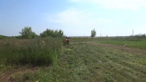 Косилка роторная Н17 и минитрактор Уралец 220. Косим траву на еду на 3 дня! Косим ячмень на солому