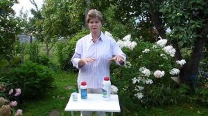 Как избавиться от любых сорняков. Препараты для уничтожения сорняков.