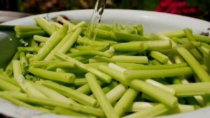 Борщевик - Сбор и маринование Азербайджанская Кухня Деревенская Кухня  Рецепты