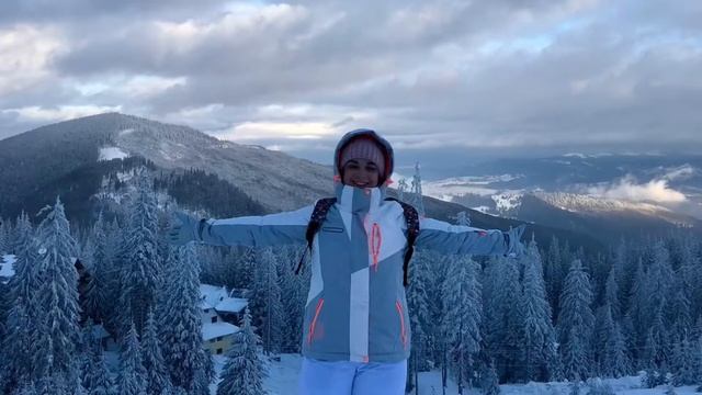 Американская Акита.Первое путешествие Харди.