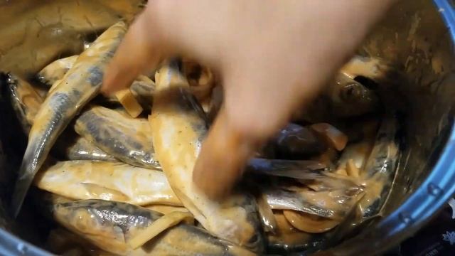 САЛАКА В ДУХОВКЕ - БЫСТРЫЙ РЕЦЕПТ! С ЛИМОНЧИКОМ ПОЙДЕТ ЗА МИЛУЮ ДУШУ!!! смотреть онлайн