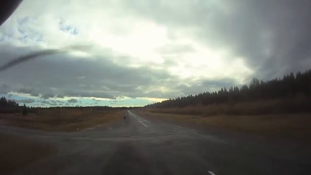 Pitts kuperkeikka смотреть онлайн