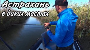 СКОЛЬКО ЗДЕСЬ ЖЕРЕХА В ЭТОЙ ПРОТОКИ. РЫБАЛКА В АСТРАХАНИ.