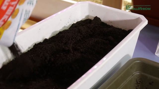 Земля-Матушка Универсальная и Дренаж керамзитовый. Применение