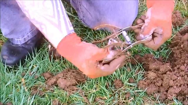 Mole Control смотреть онлайн