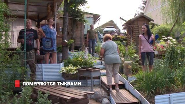 ПОДАРКИ ДАЧНИКАМ смотреть онлайн