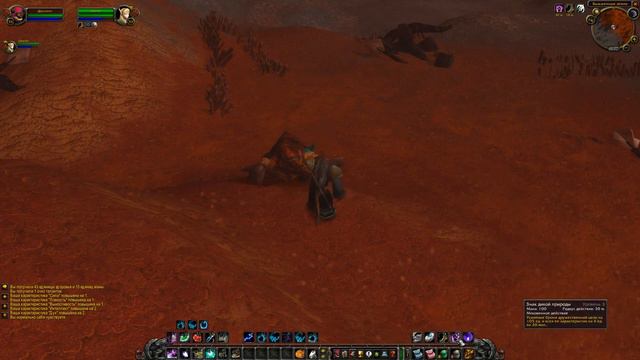 World of Warcraft: The Burning Crusade 2.4.3 Х100 Друид + Хант №6 смотреть онлайн