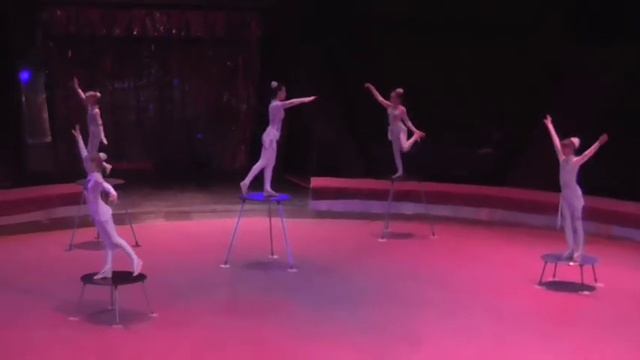 Пластик групповая цирк Plastic circus group смотреть онлайн