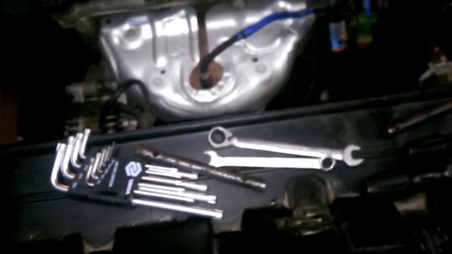 О, Теплый Дом!