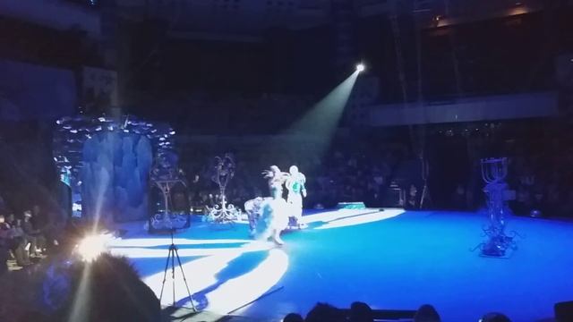 Ижевск цирк смотреть онлайн