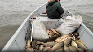 Крутой Улов Рыбака На Каспии (Калмыкия) ?Канал Рыбалка в Дагестане?