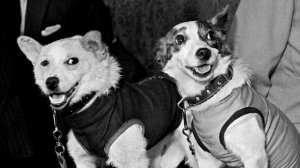 Искусственные спутники Земли. История развития