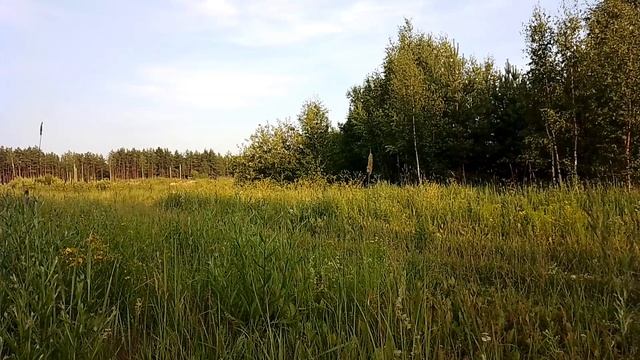 Вечером за городом. ч.1. Июль 2023 смотреть онлайн