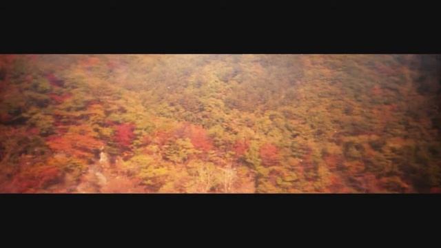 岩泉の紅葉　red leaves in iwaizumi, iwate prefecture, japan смотреть онлайн